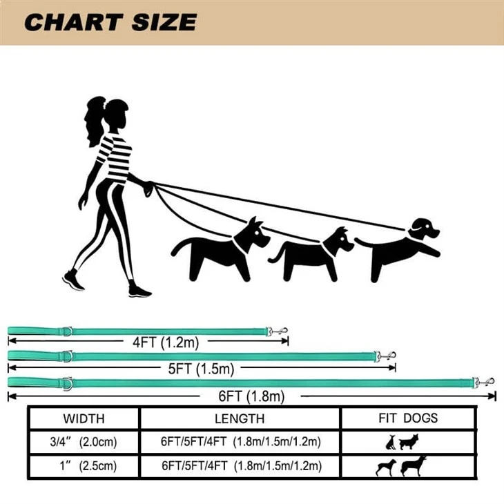 Double-Sided Reflective Dog Leash