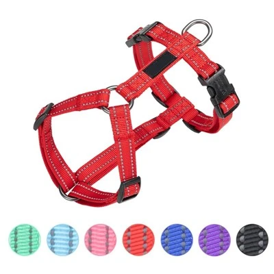 Ne - Pull Dog postroj